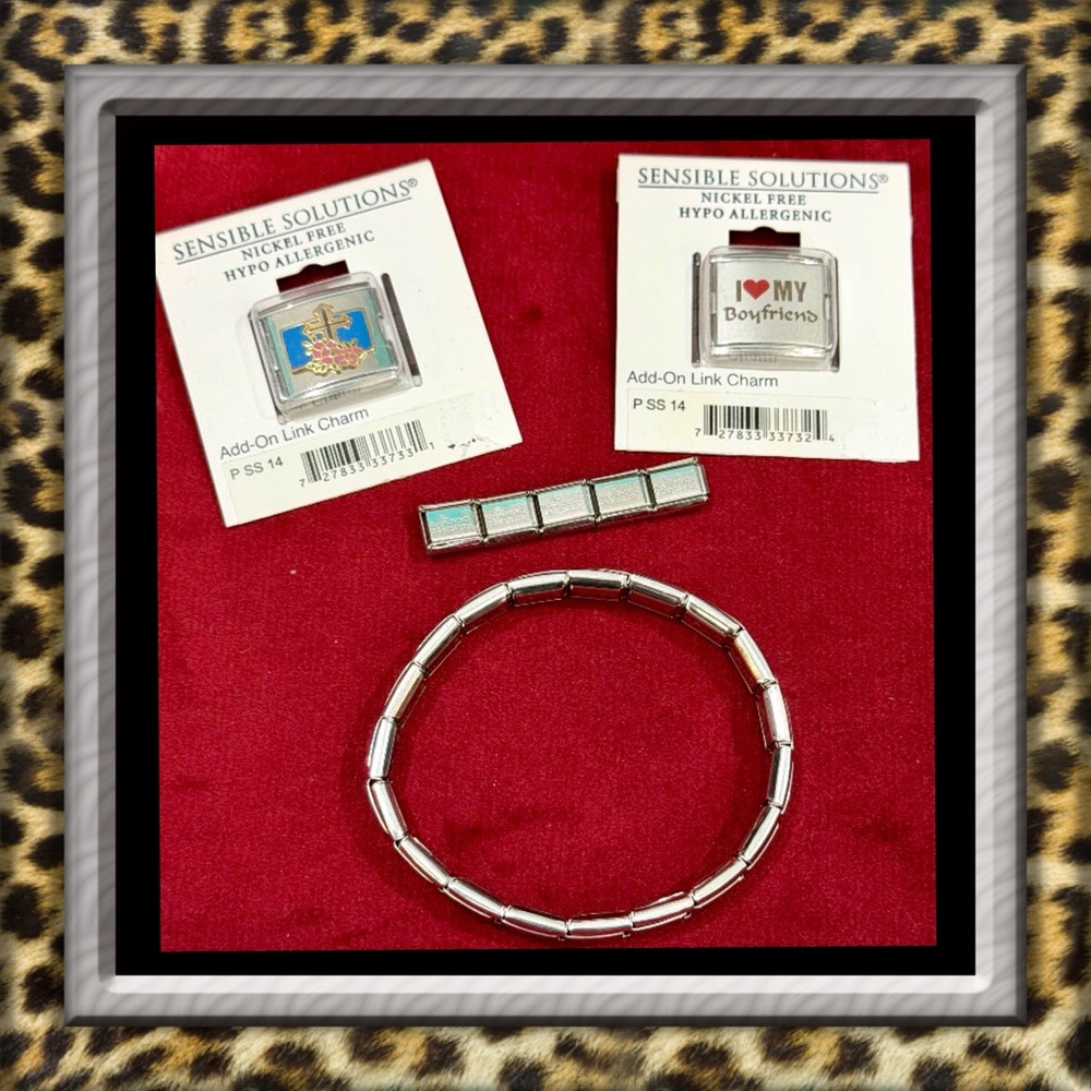 👑✅PRICE FIRM✅ Stainless Steel Silver Charm Link Bracelet and additional charms.